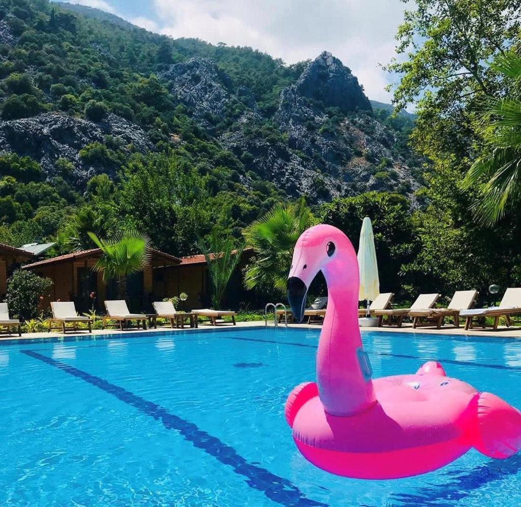 Dolunay Apart Hotel Çıralı Luaran gambar