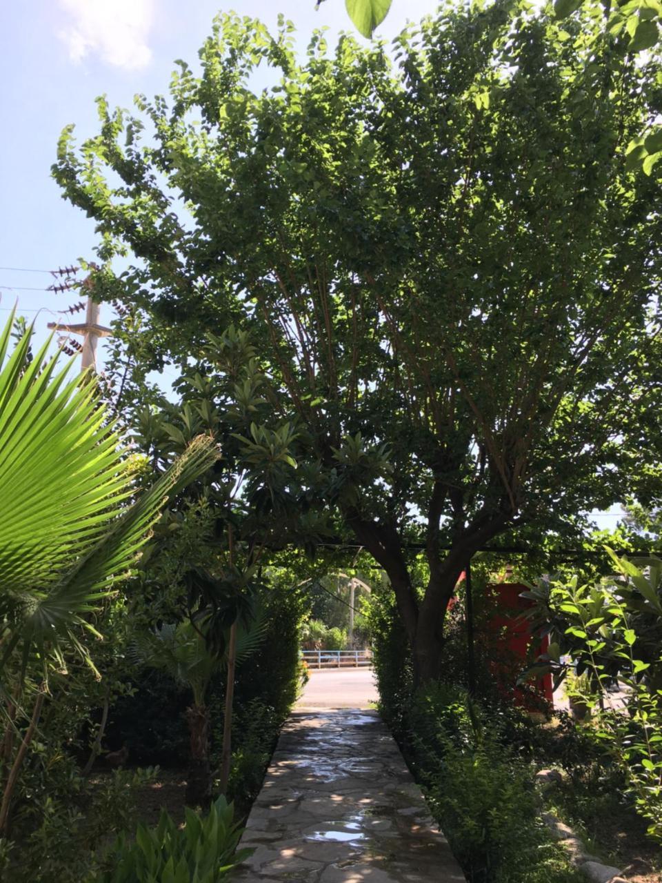 Dolunay Apart Hotel Çıralı Luaran gambar