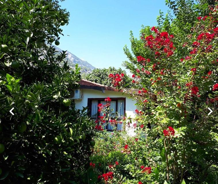 Dolunay Apart Hotel Çıralı Luaran gambar