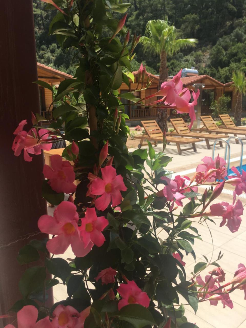 Dolunay Apart Hotel Çıralı Luaran gambar